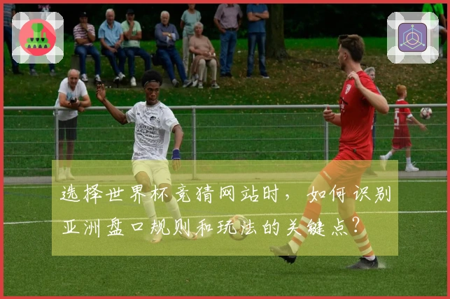 选择世界杯竞猜网站时，如何识别亚洲盘口规则和玩法的关键点？