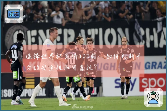 选择世界杯竞猜app前，如何判断平台的安全性和可靠性？