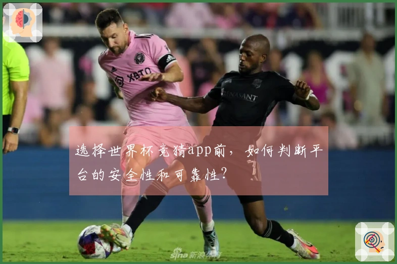 选择世界杯竞猜app前，如何判断平台的安全性和可靠性？