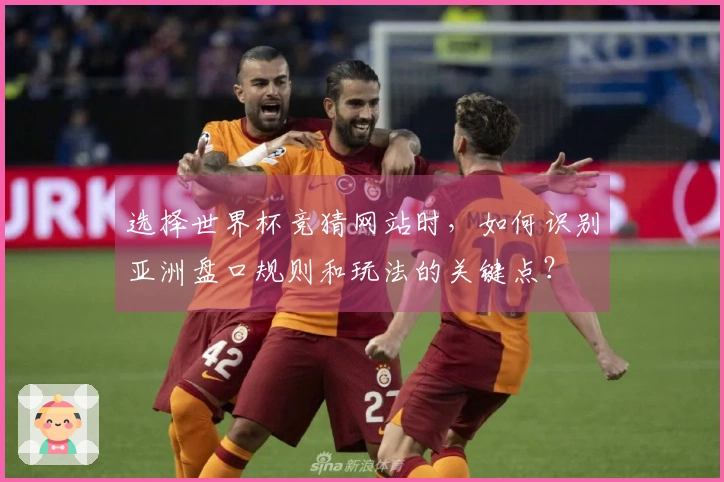 选择世界杯竞猜网站时，如何识别亚洲盘口规则和玩法的关键点？