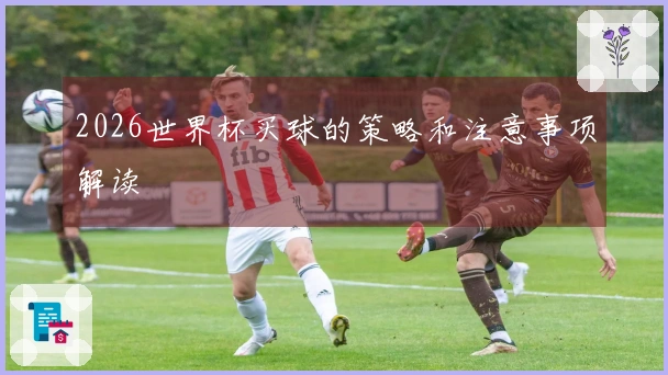 2026世界杯买球的策略和注意事项解读