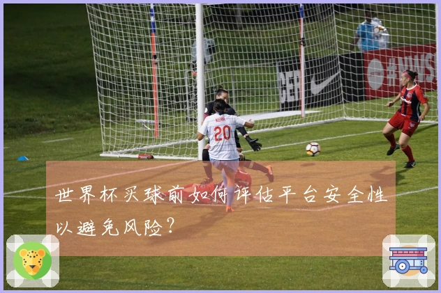 世界杯买球前如何评估平台安全性以避免风险？