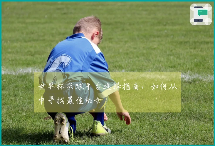 世界杯买球平台选择指南，如何从中寻找最佳机会